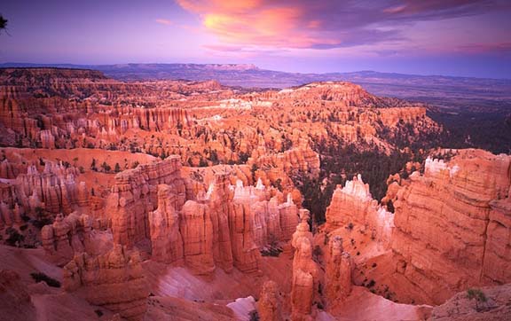 The Hoodoos of Bryce Canyon